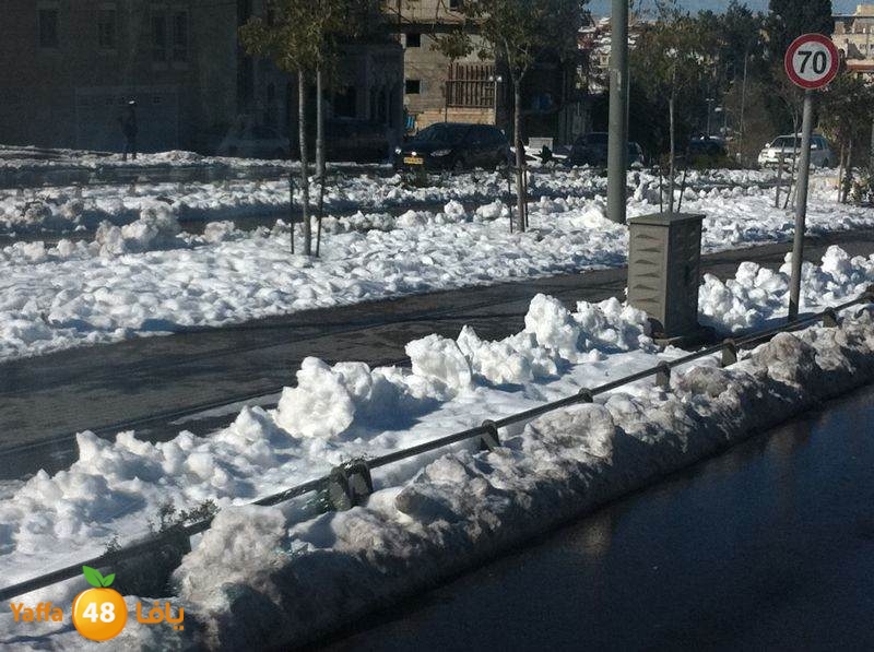 yaffa byareq (22).jpg